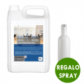 Desinfectante Virucida Multisuperficies PAE 5L + Regalo Spray Vaporizador