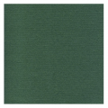 Servilleta doble punto Verde Pino 2 capas 40x40 cm