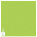 Servilleta Soft aspecto tisú Verde Kiwi 40x40 cm