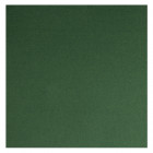 Toalla de papel polar verde abeto 40 x 40