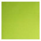 Toalla de papel polar verde anís 40 x 40